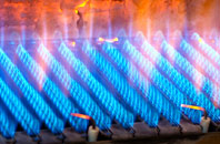 Avebury Trusloe gas fired boilers